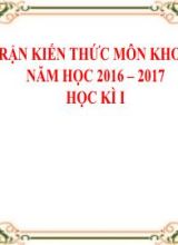 Ma trận đề kiểm tra học kì I môn Khoa học lớp 5 - Năm học 2016-2017